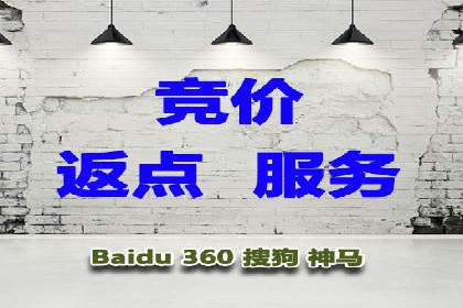 SEM投放策略优化案例分析